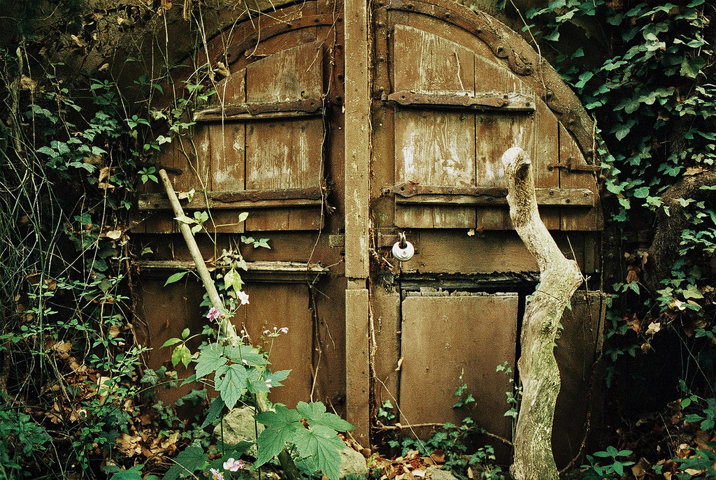 German Hobbit Door - Jungle Bjorn