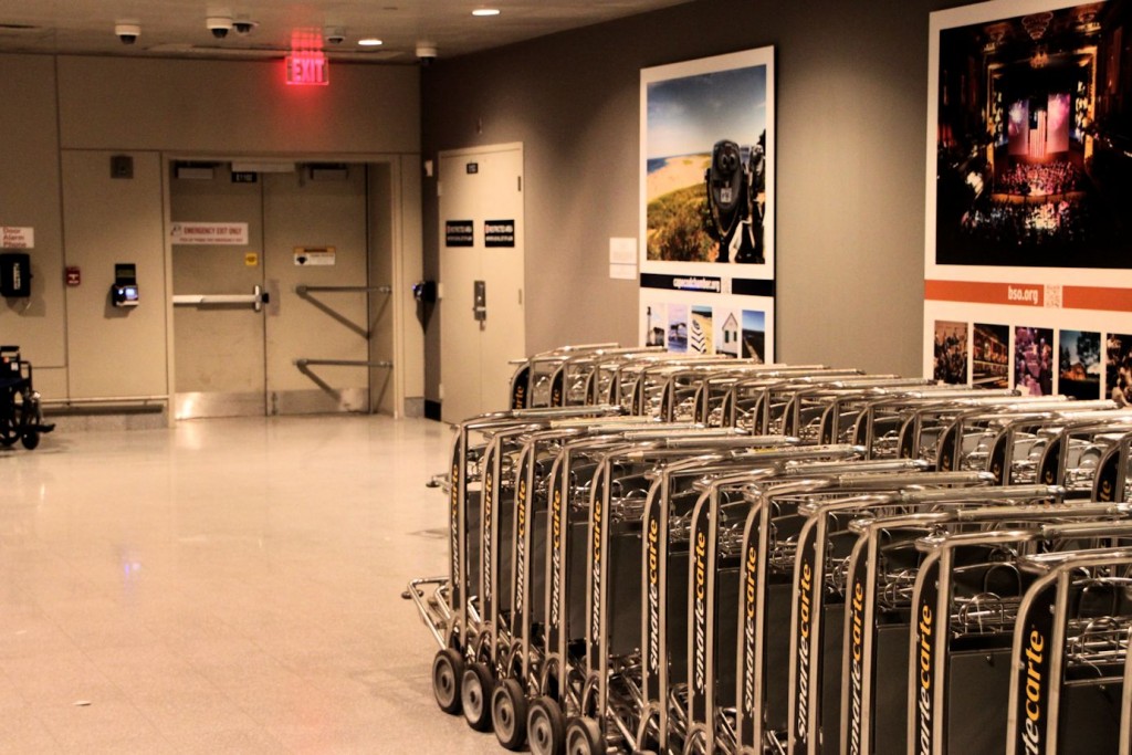 Terminal E Carts