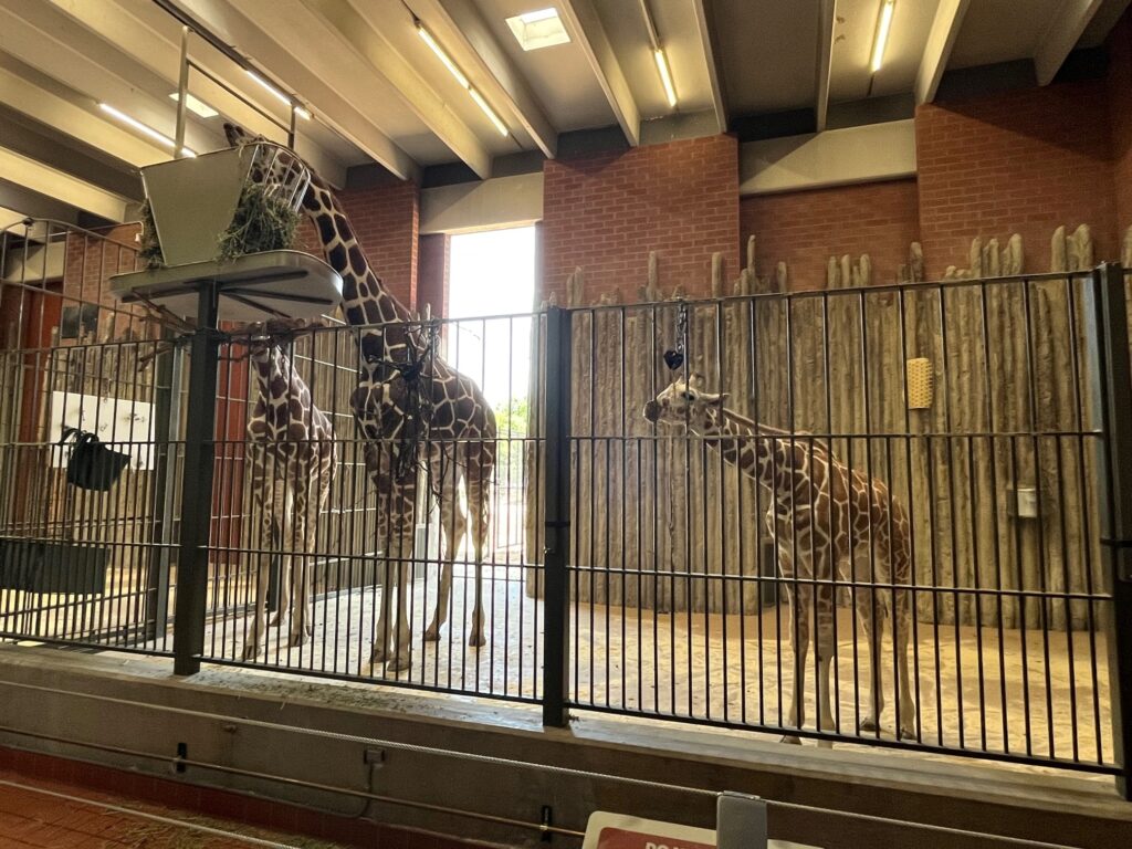 Last week I realized that a zoo is one of the few types of projects that I have never written a hardware specification for, which is kind of a shame because zoos have some cool applications!